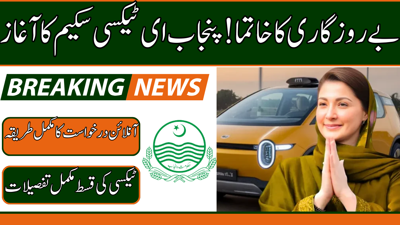 CM Punjab E-Taxi Scheme