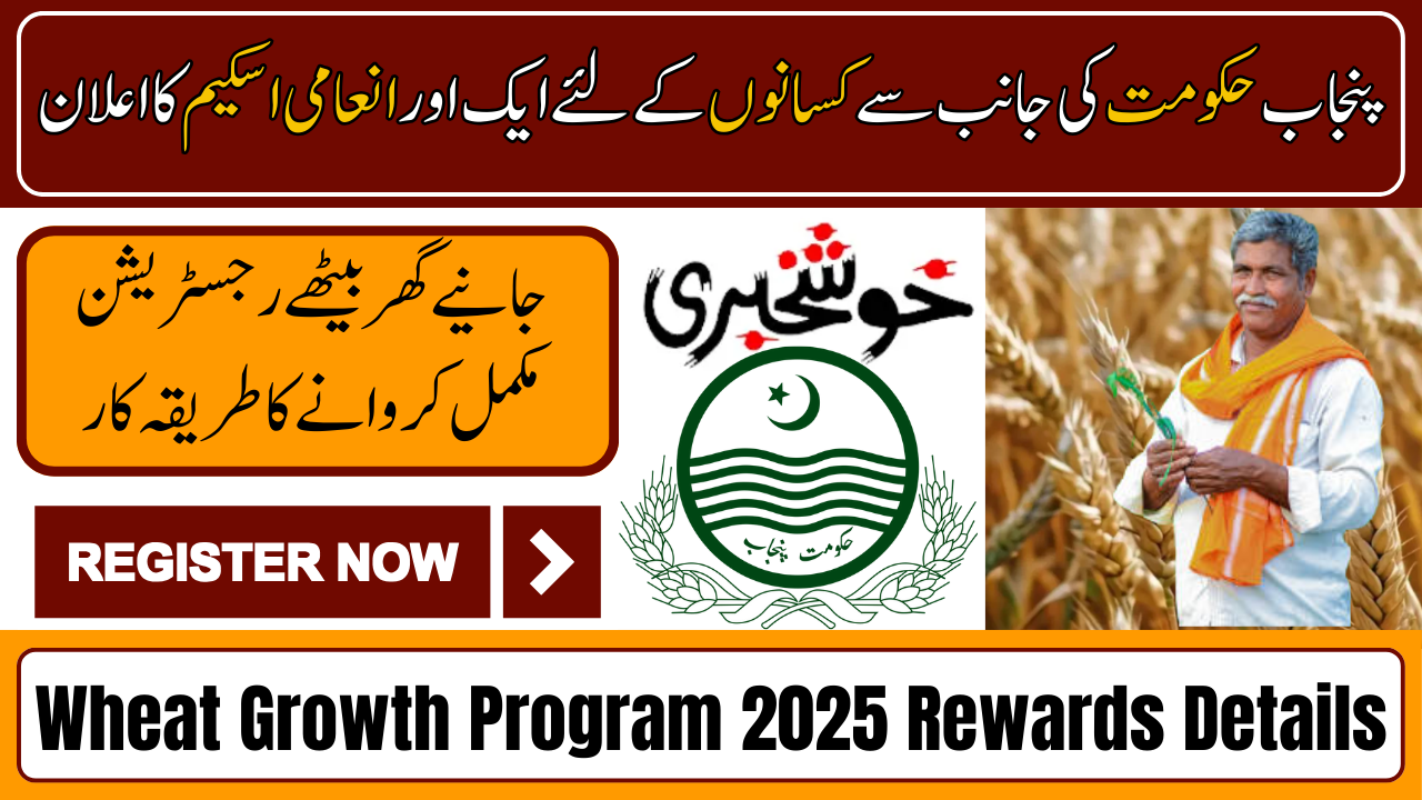 Wheat Growth Program