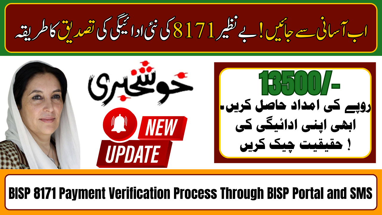 BISP 8171 Payment Verification Process